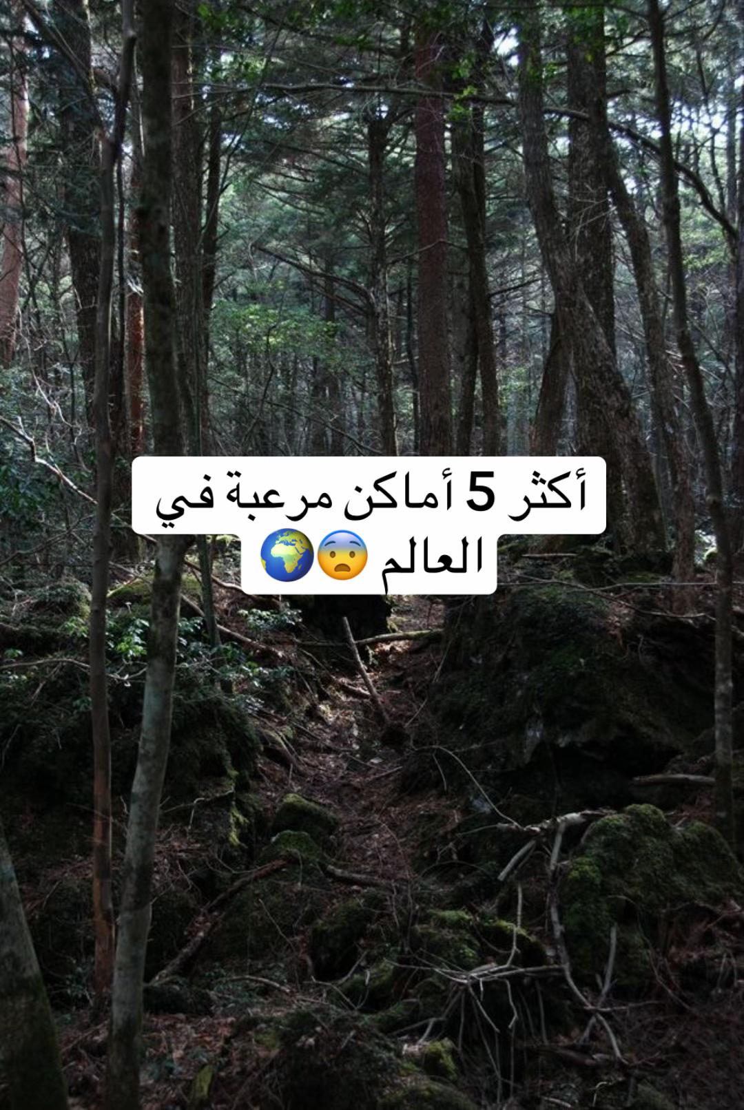 @ahmws_1