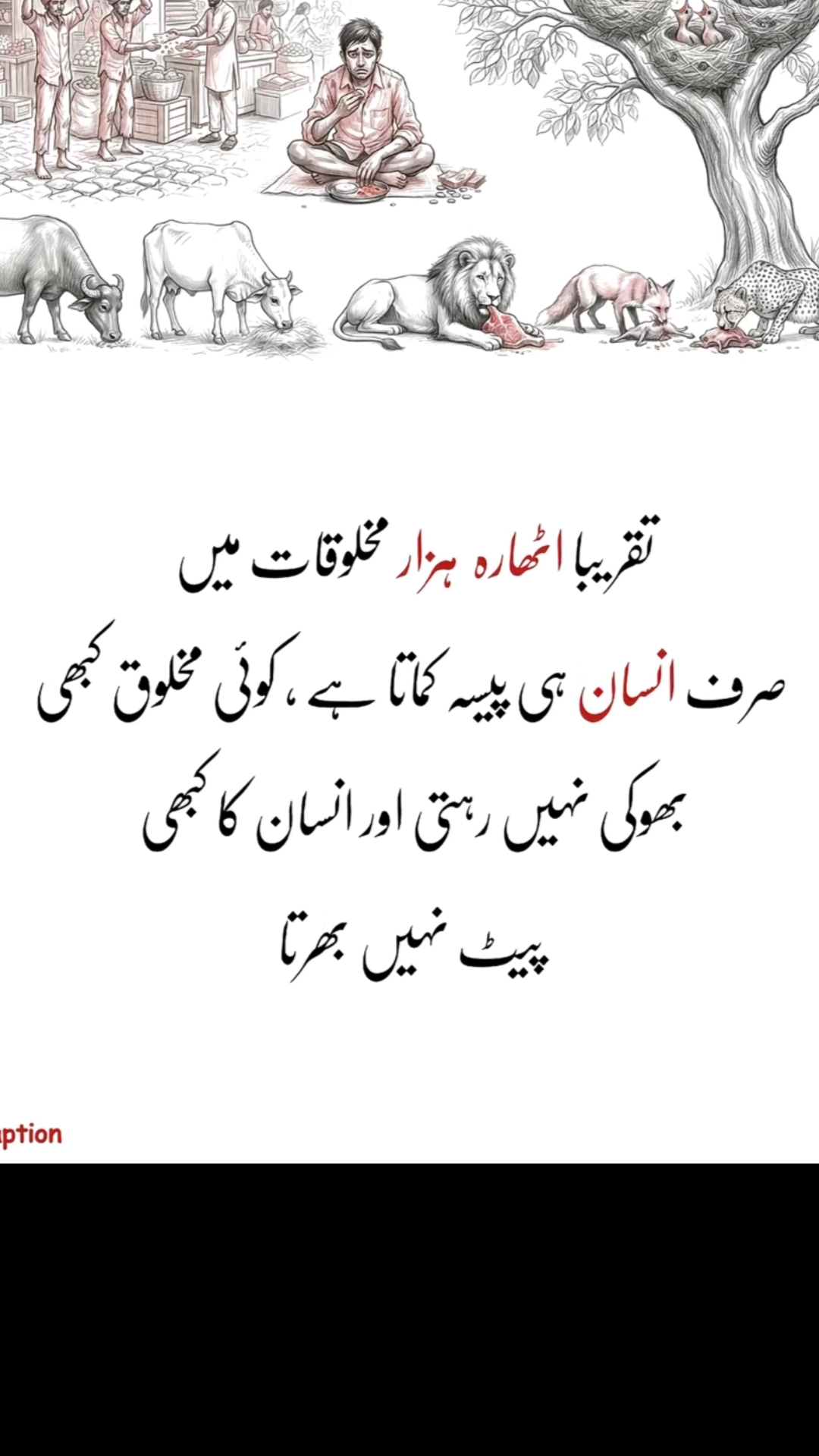 @👑Waqas Biland 👑