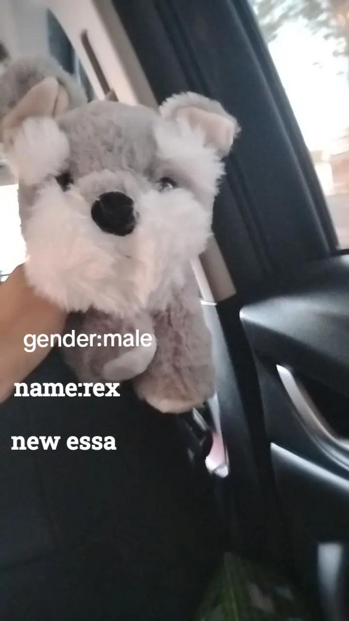 @ТГК @Jax_cat