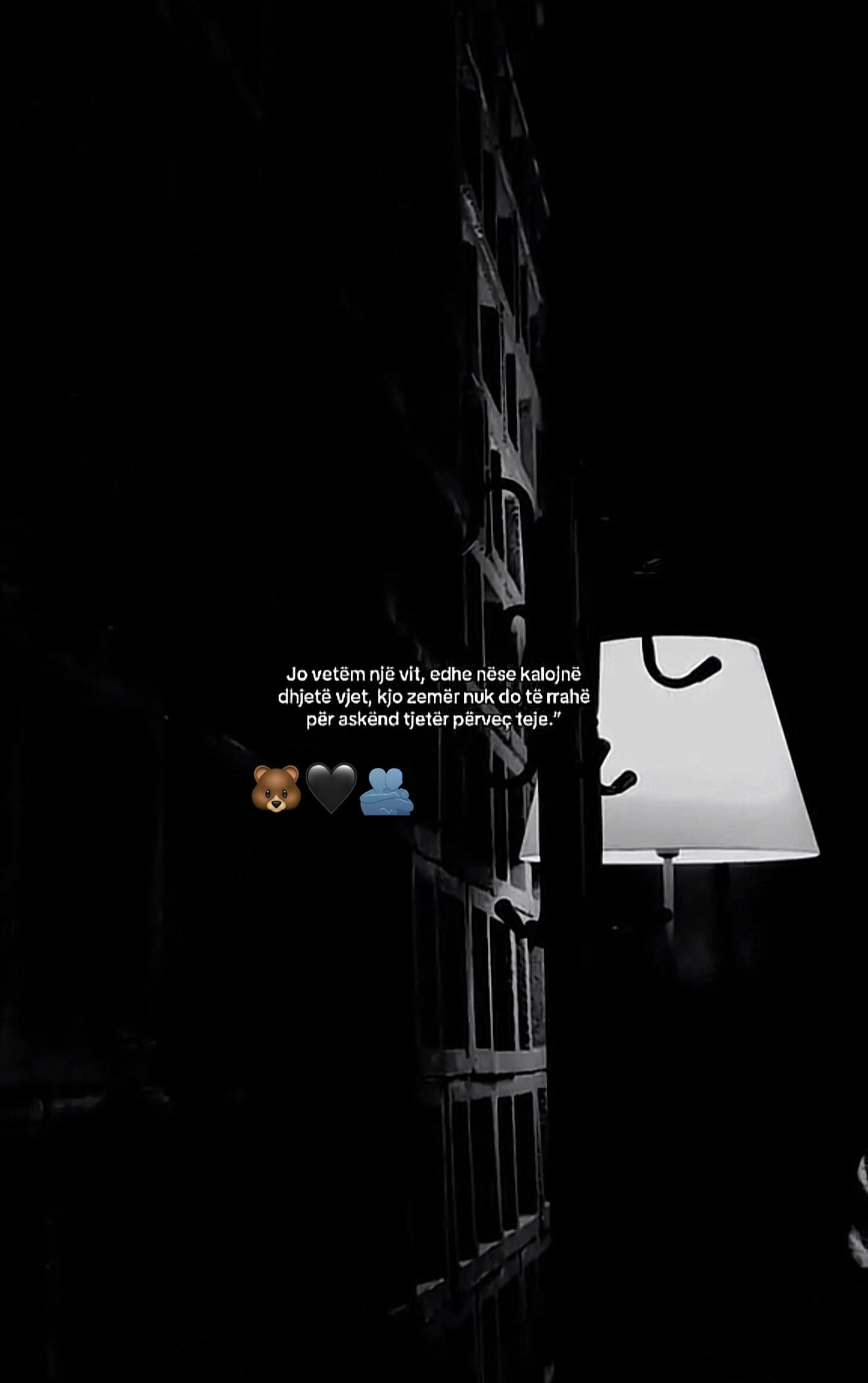 @🧸 🖤🐻