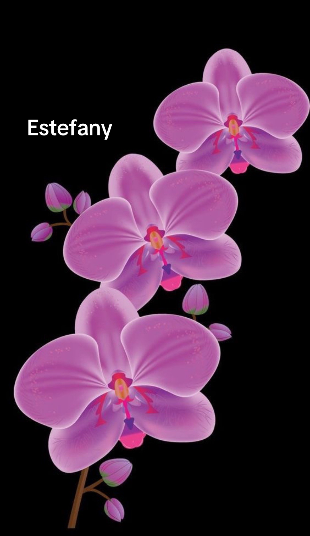 @estefany
