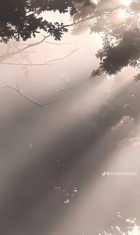 @𝘚𝘱𝘰𝘰𝘬 𝘱𝘰𝘳𝘵𝘢𝘭𝘴 🌸