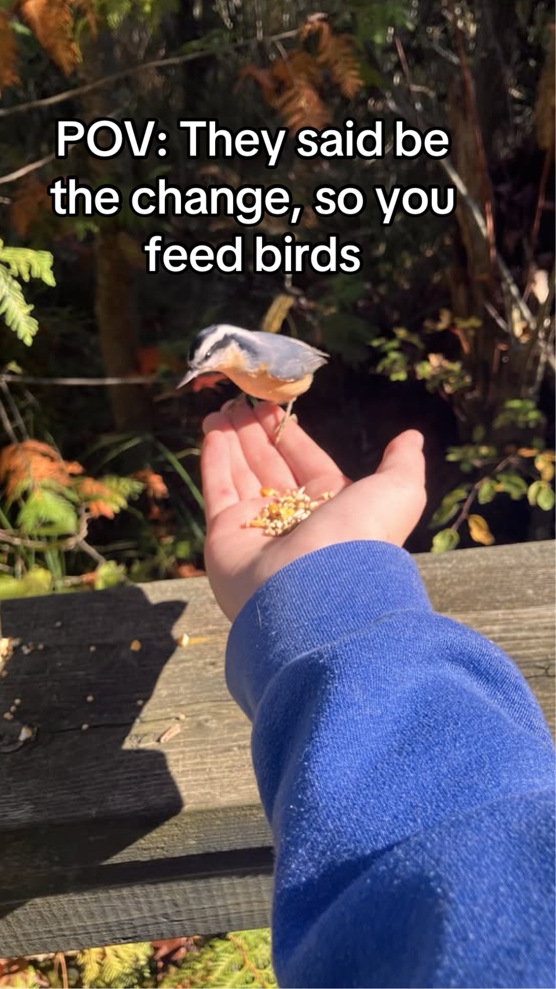 @aliciabickford81