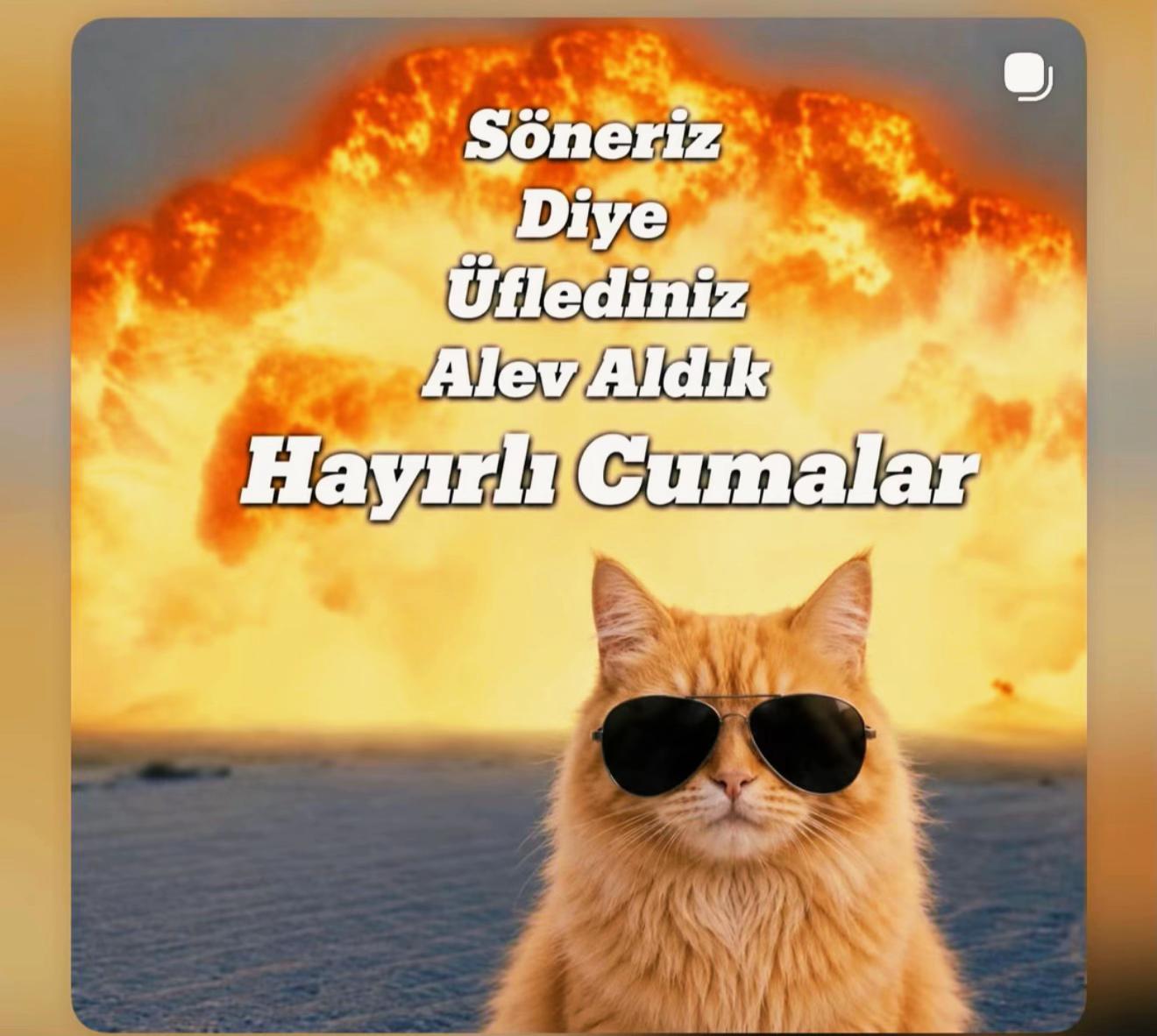 @Nazlı nazlım