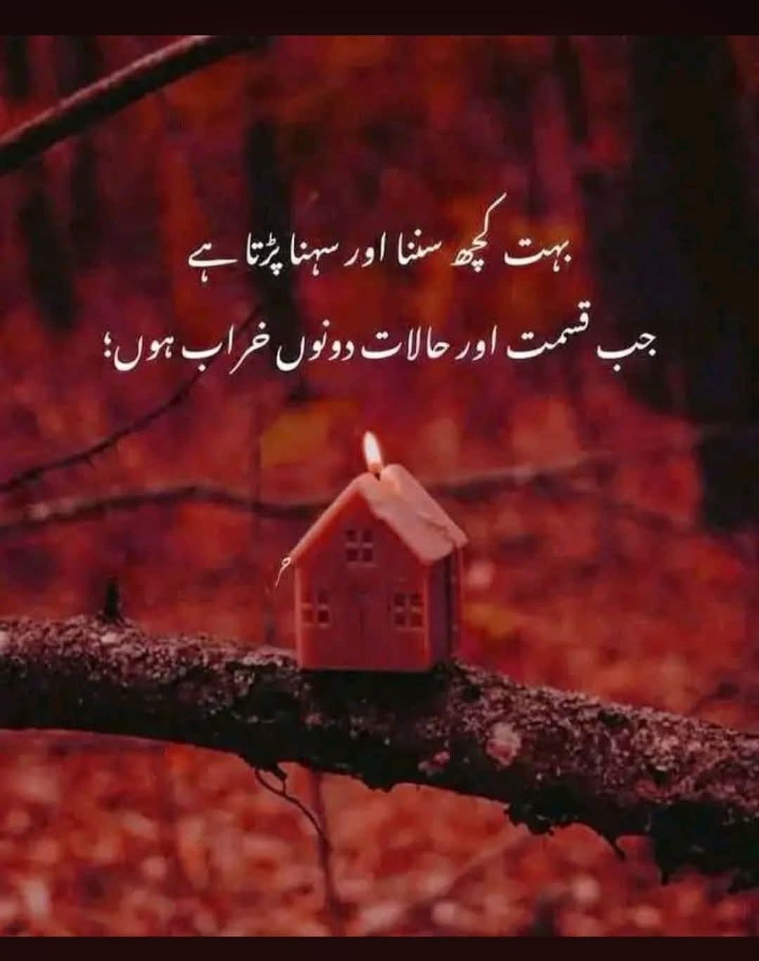 @Feroza Yameen