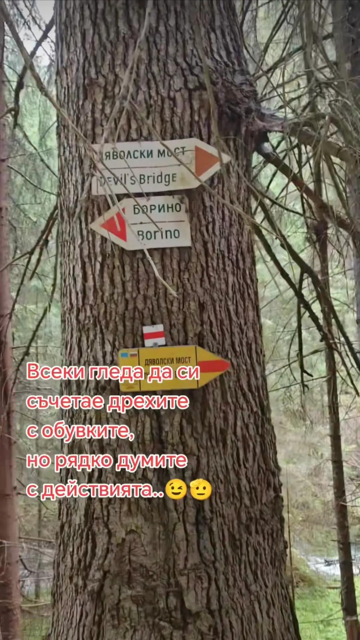 @ГЕРГАНА МАРИНОВА