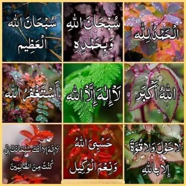 @qamar_d