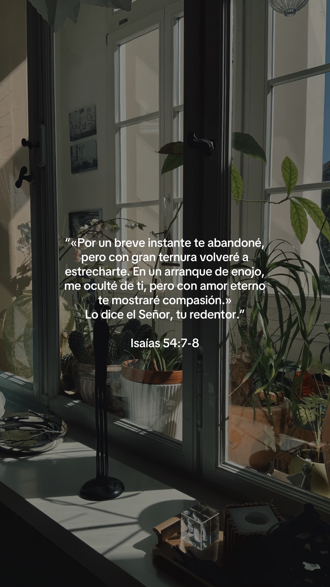 @vidabonita❤️&zwj;🩹