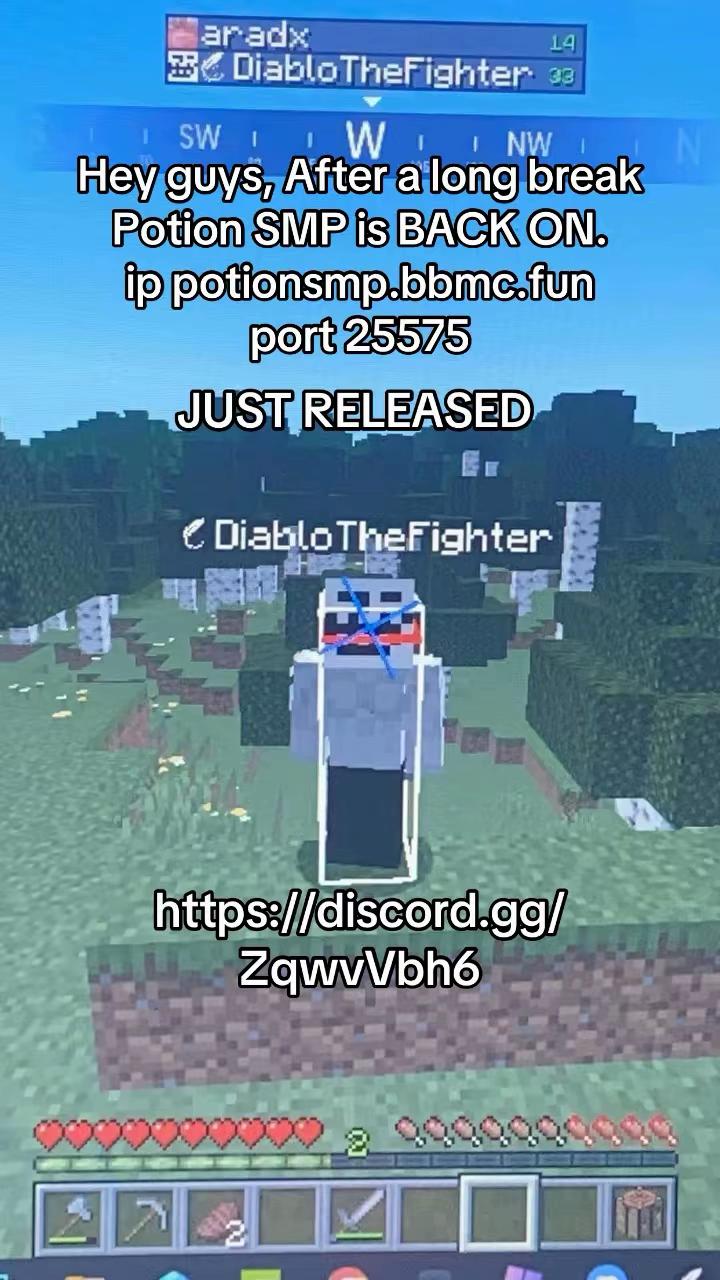 @Potion SMP