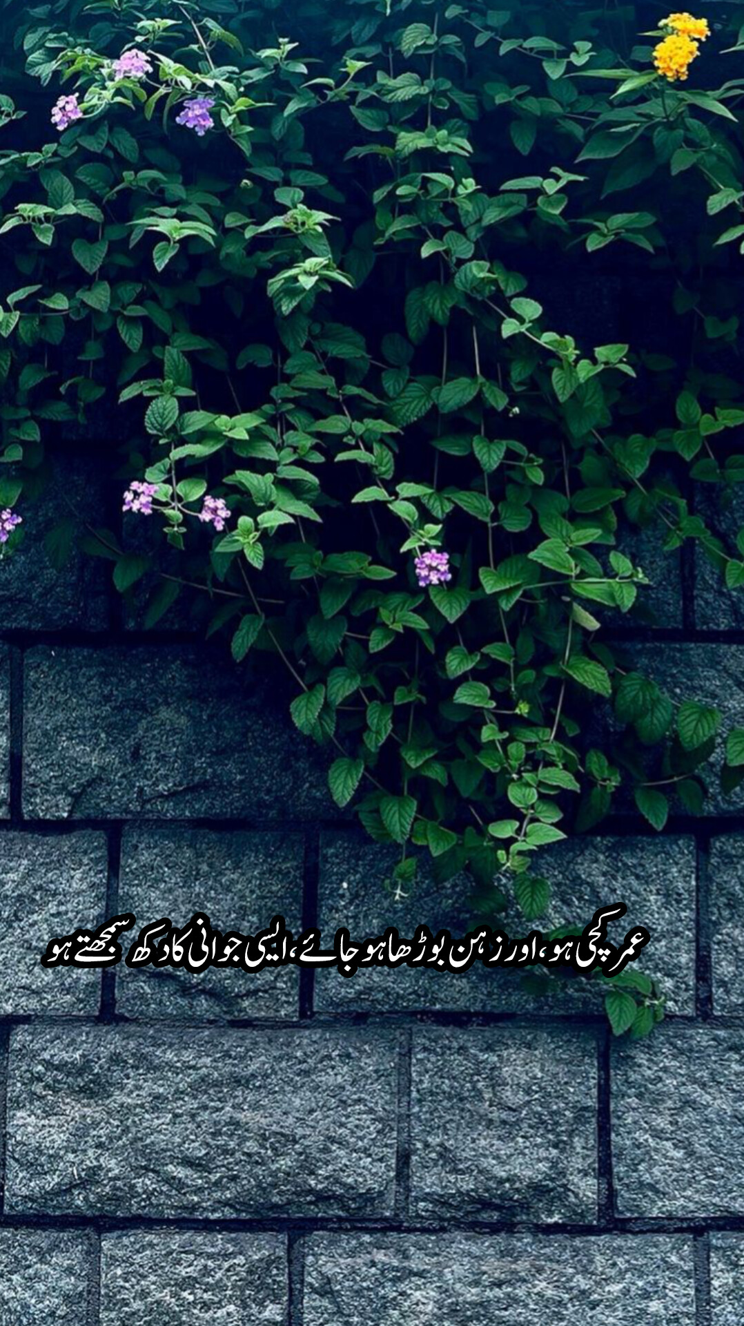 @محمٌَد 🚩