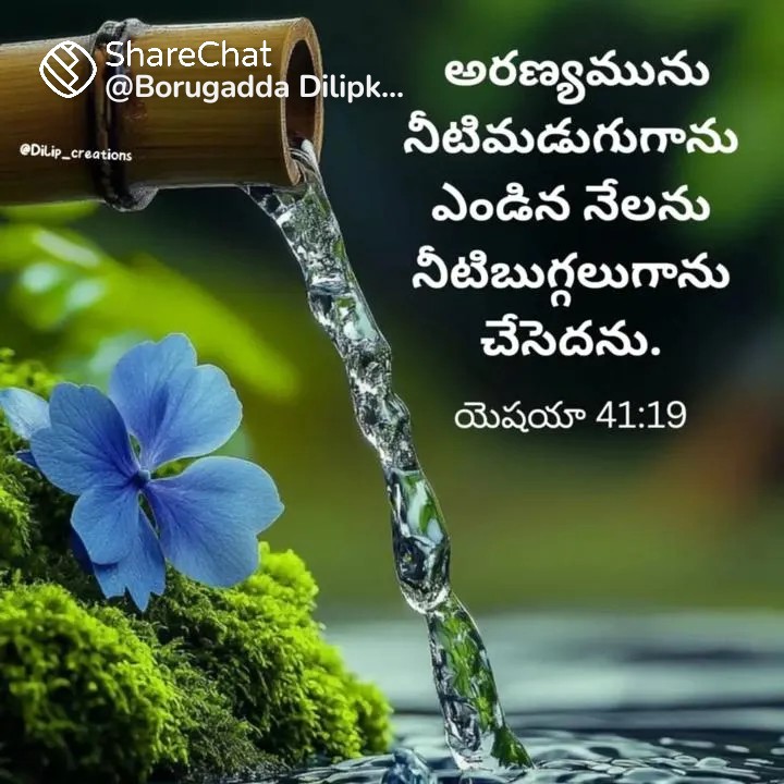 @sarah1975000