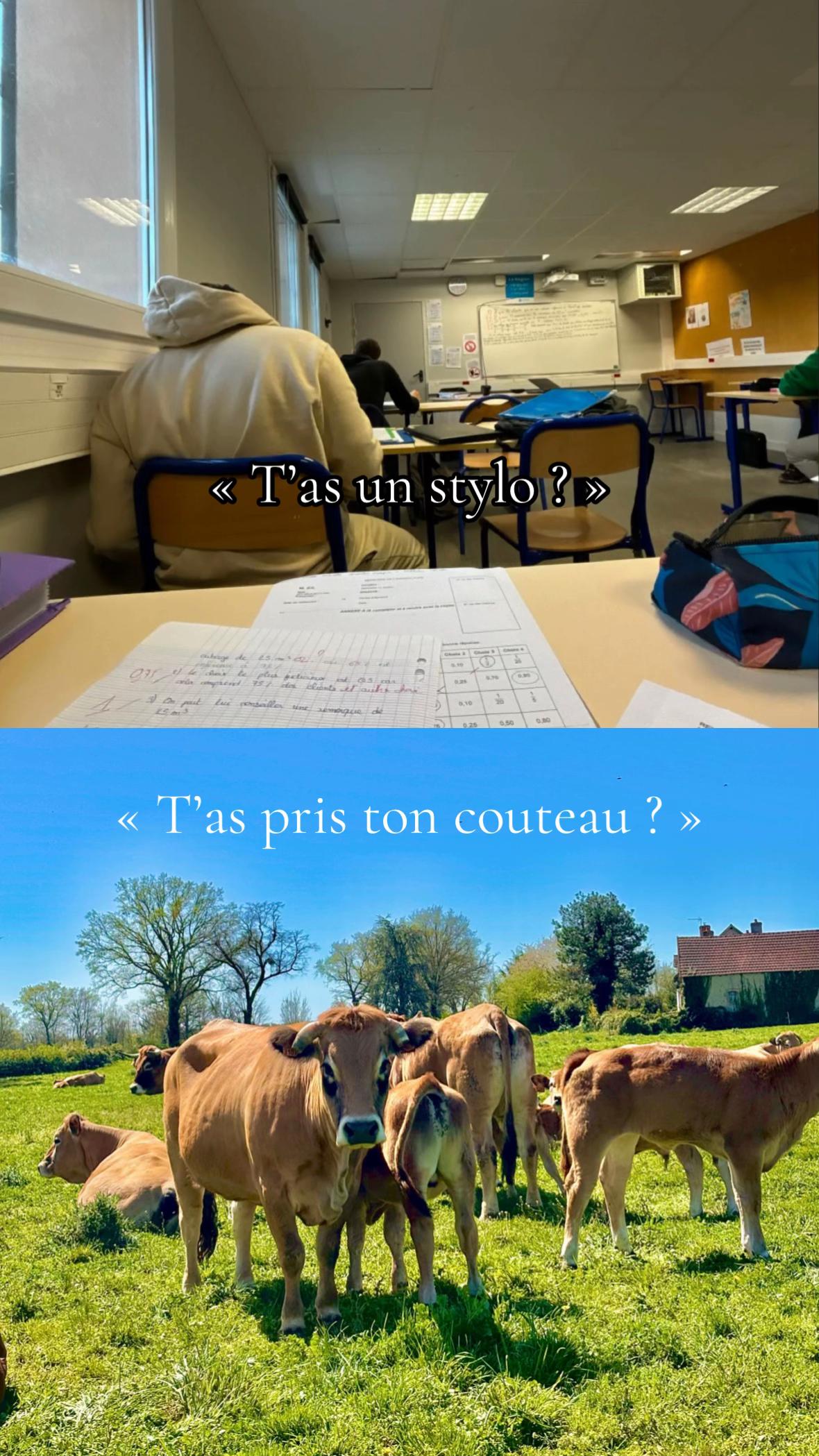 @Juliette 👩🏼&zwj;🌾🌾