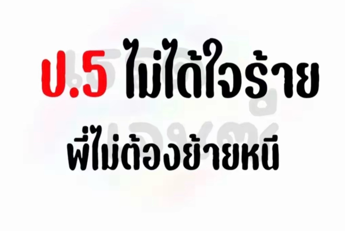 @≽^• ˕ • ྀི≼ปอรอ ปารีส
