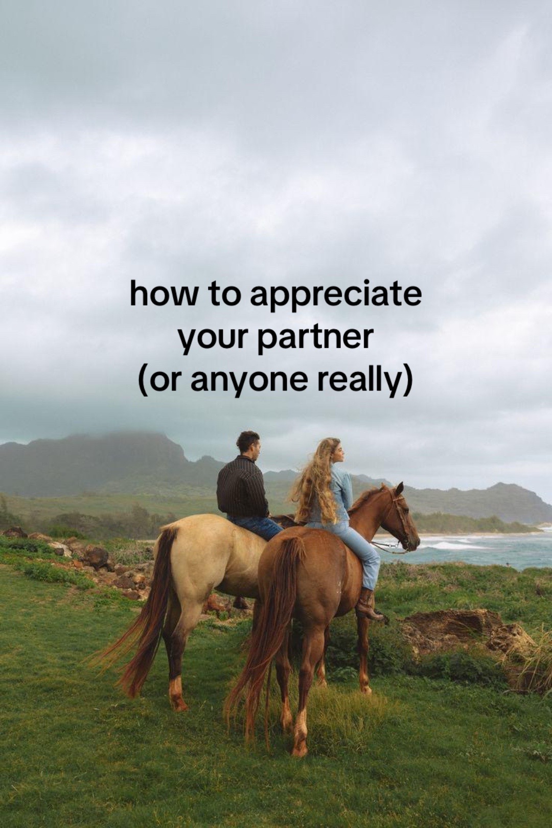 @aves