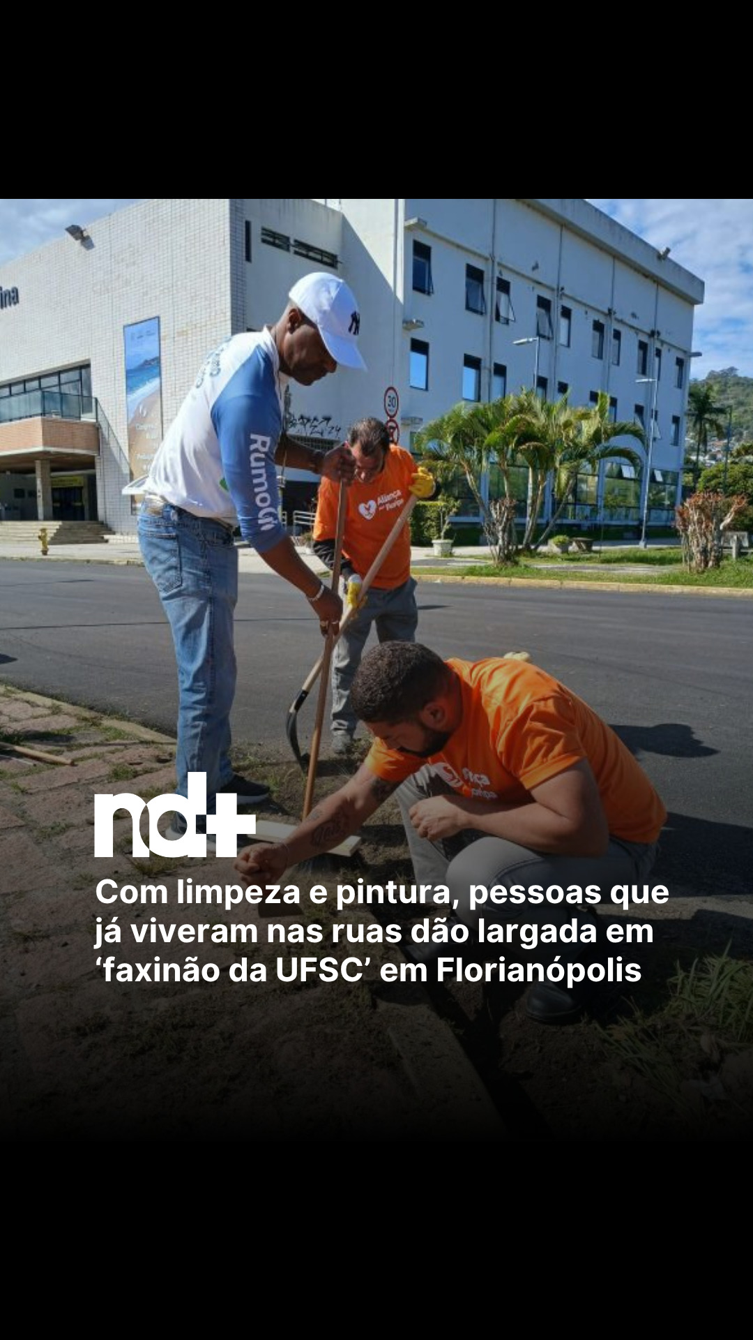 @portalndmais