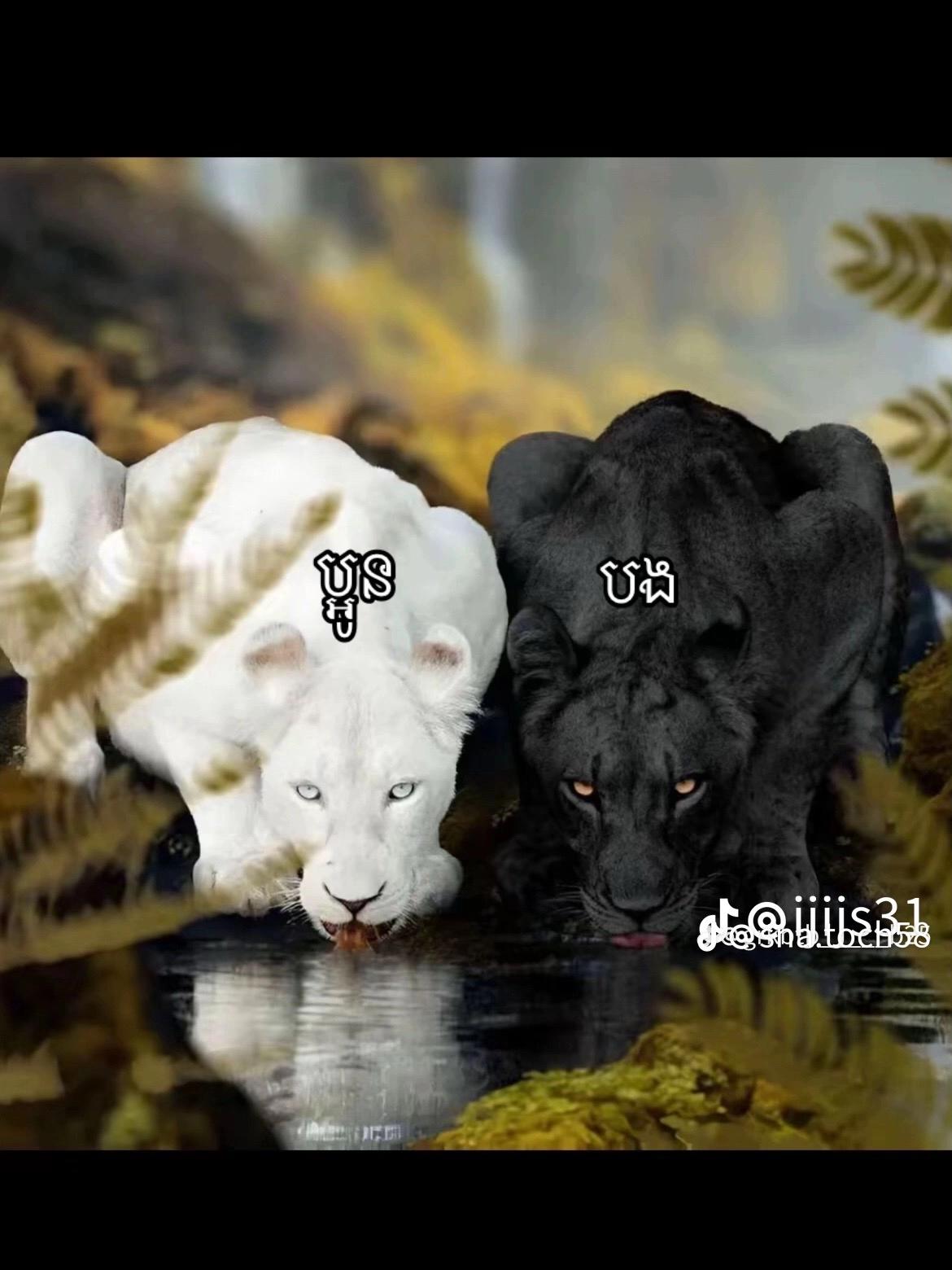 @ក្មេង  ជក់  ថ្នាំ  ☘️ ☘️