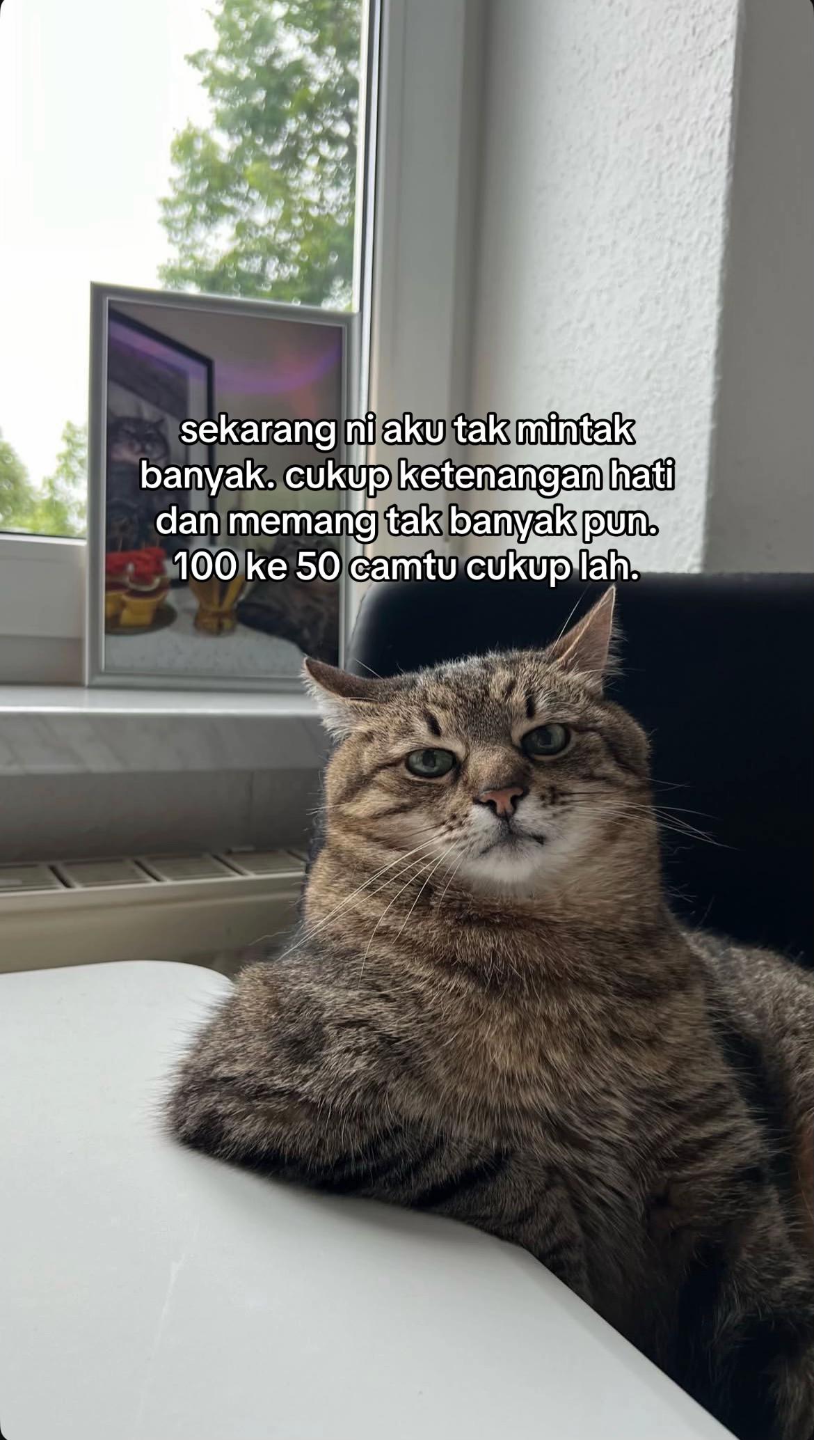 @ngeong prot prot
