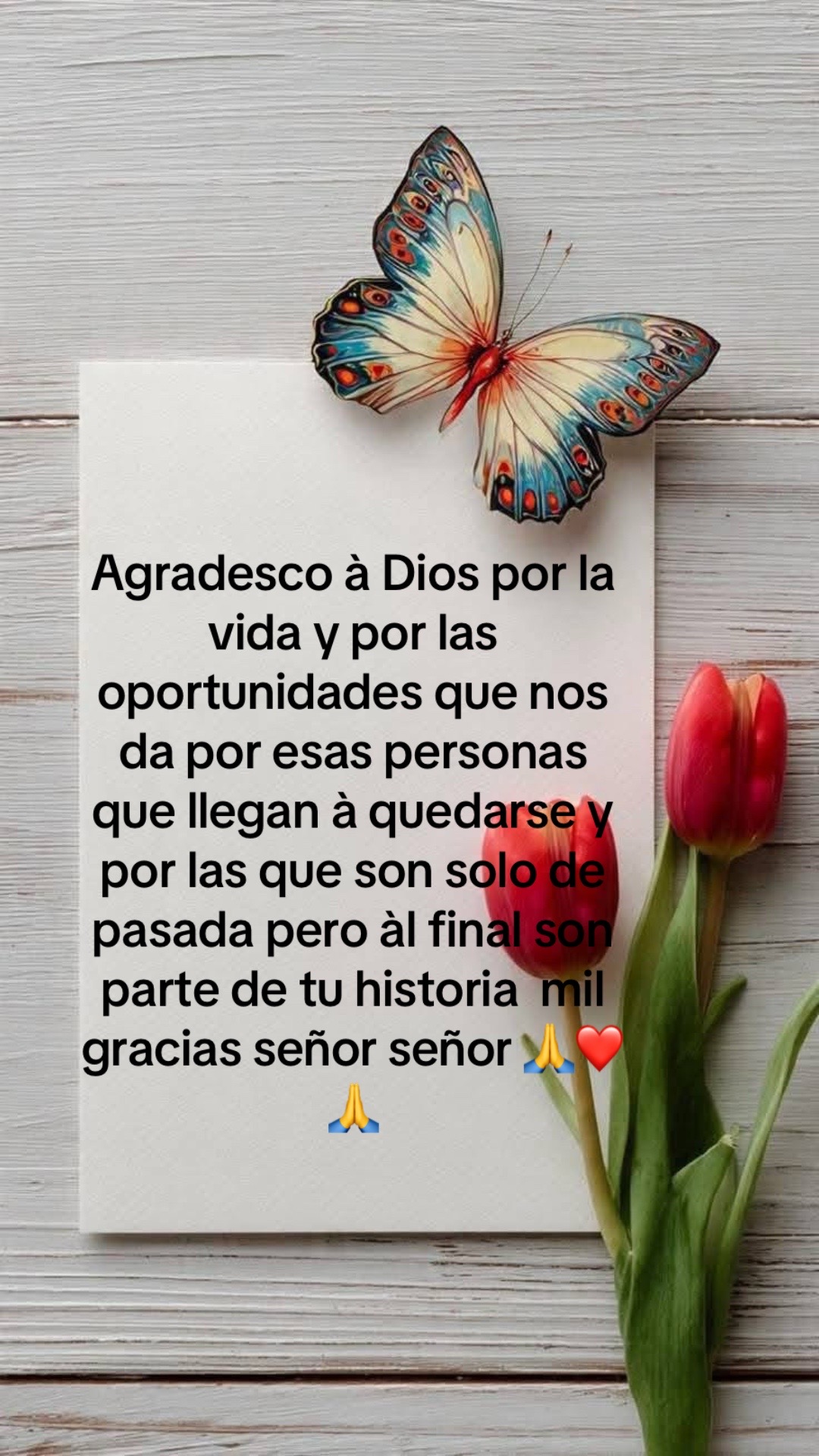 @margiemorales