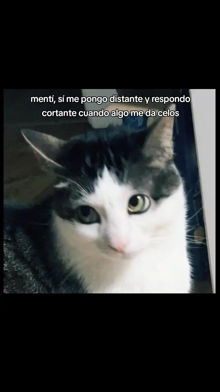 @Leoncio🗣️