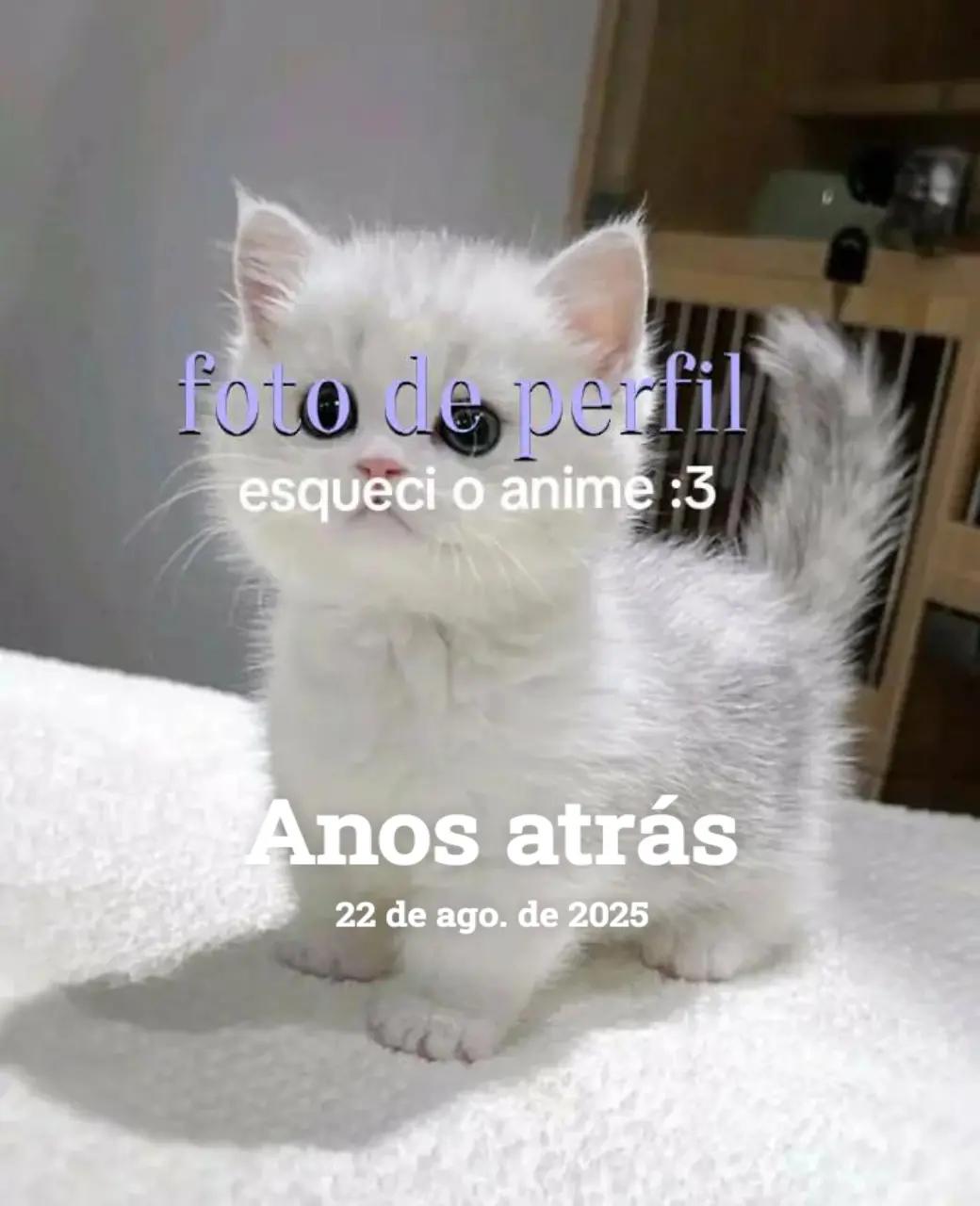 @.•♫•♬•𝑬𝒔𝒎𝒆𝒓𝒂𝒖𝒅𝒂•♬•♫•.