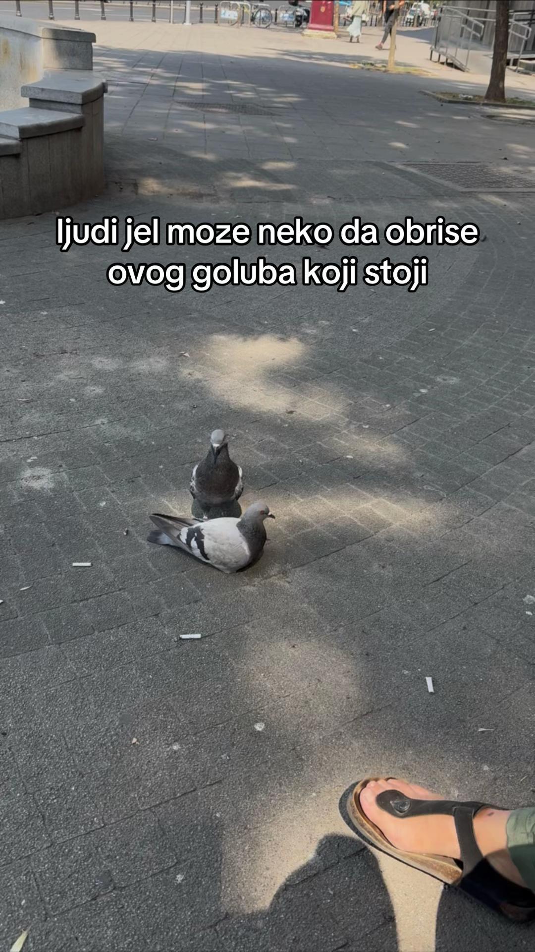 @mino