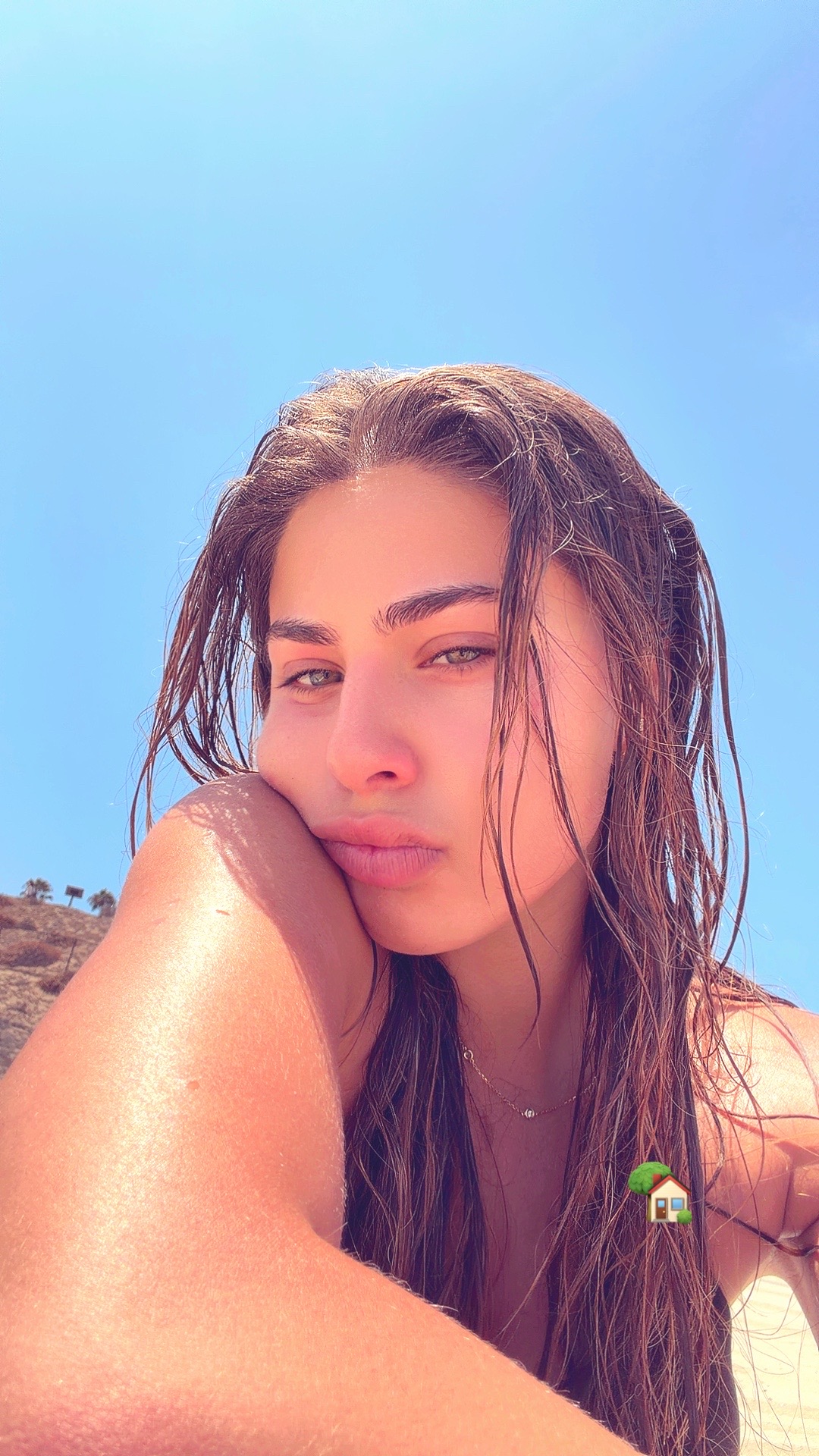 @ava.hark
