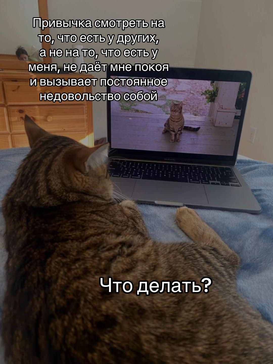@тгк: психология с марго