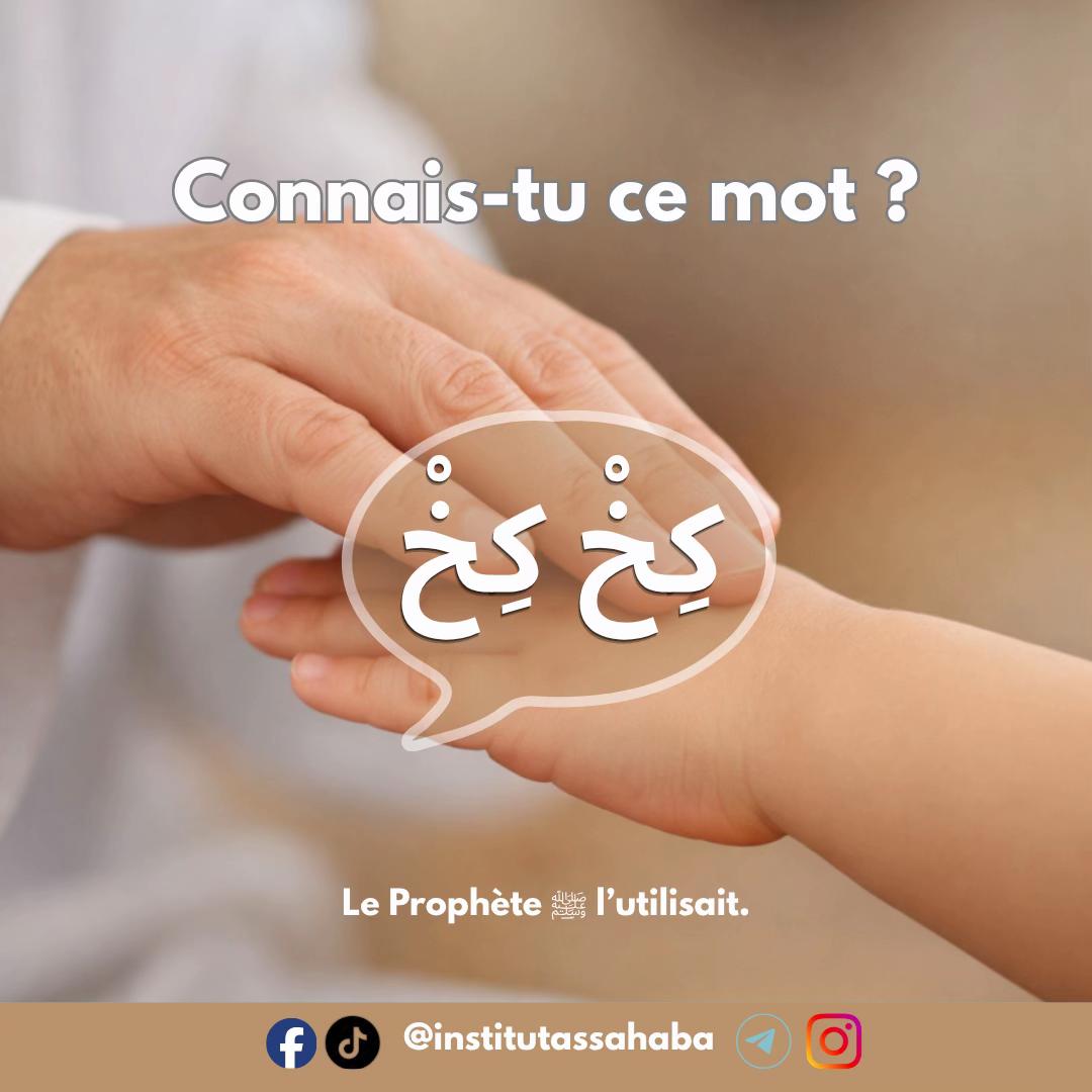 @institutassahaba