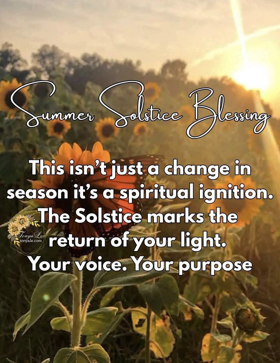 @🌻Շ๏ภץคɭє🌻