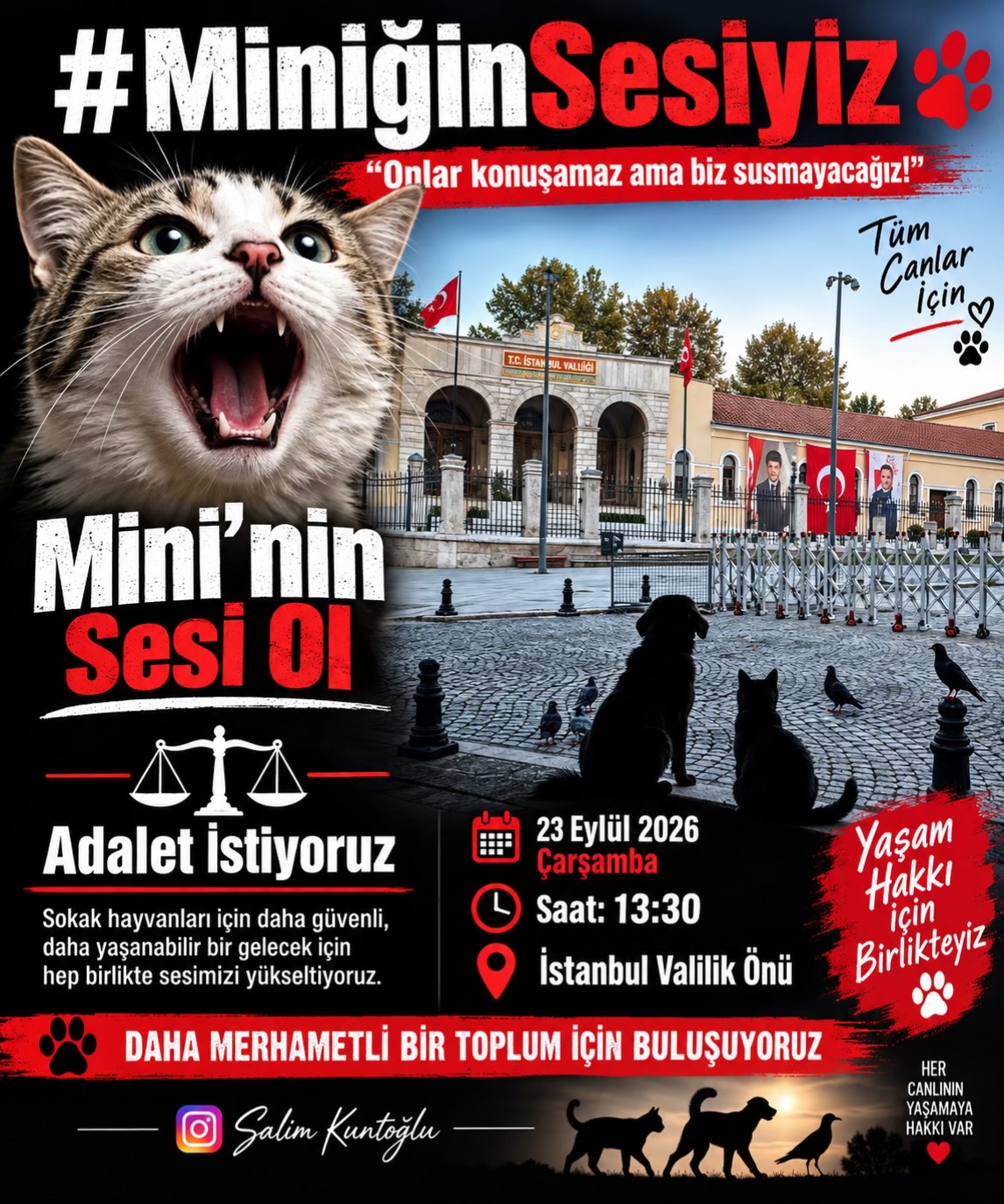 @Salim Kuntoğlu