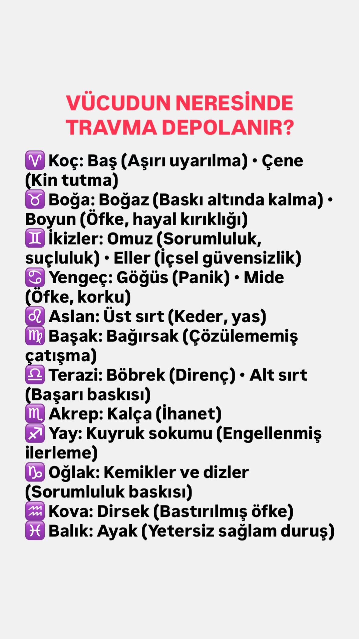 @MATRİKS AİLE DİZİMİ - ASTRO