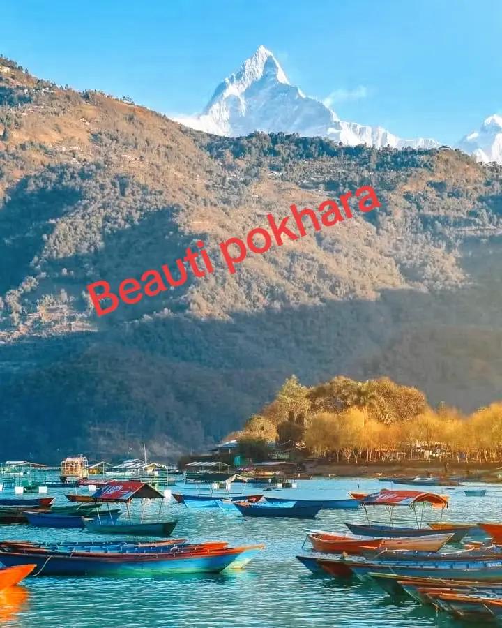 @Lamichhane official