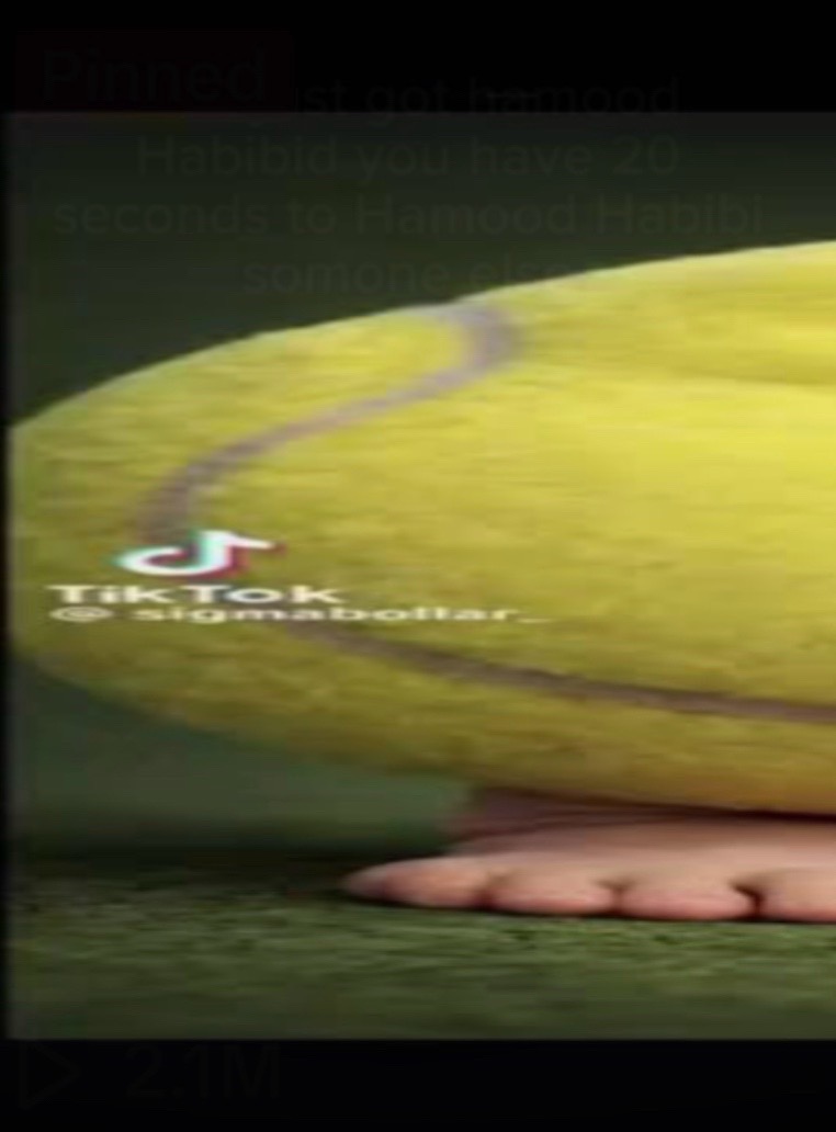 @President of fat sennis land