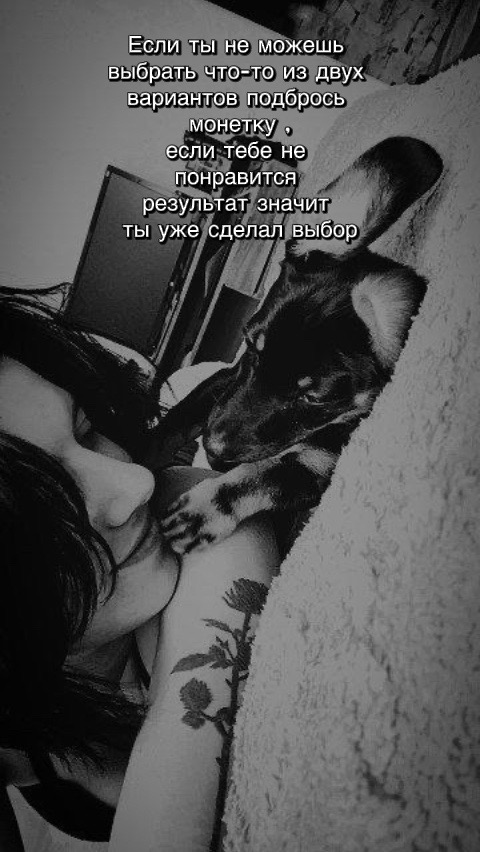 @Лизочка🥀