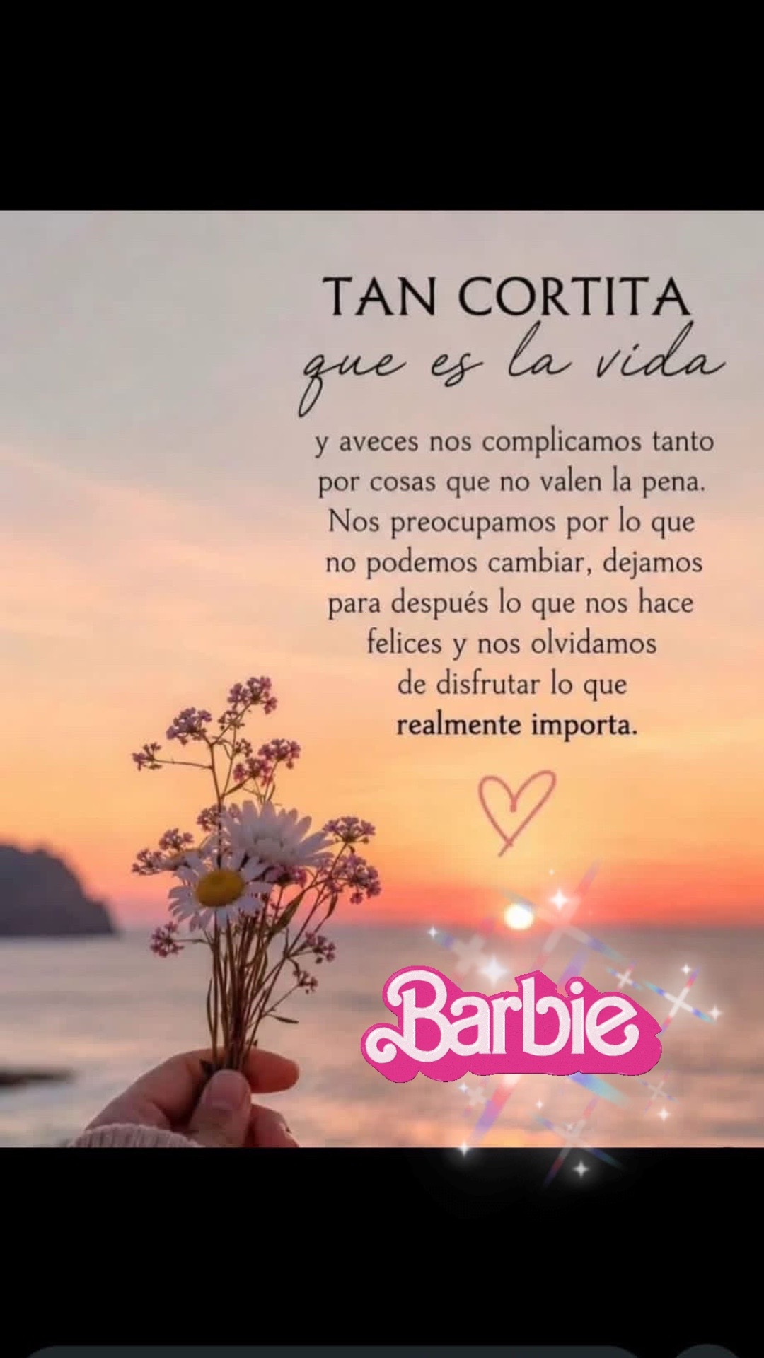 @✨🌙❤️La mera mera BARBIE ❤️🌙✨