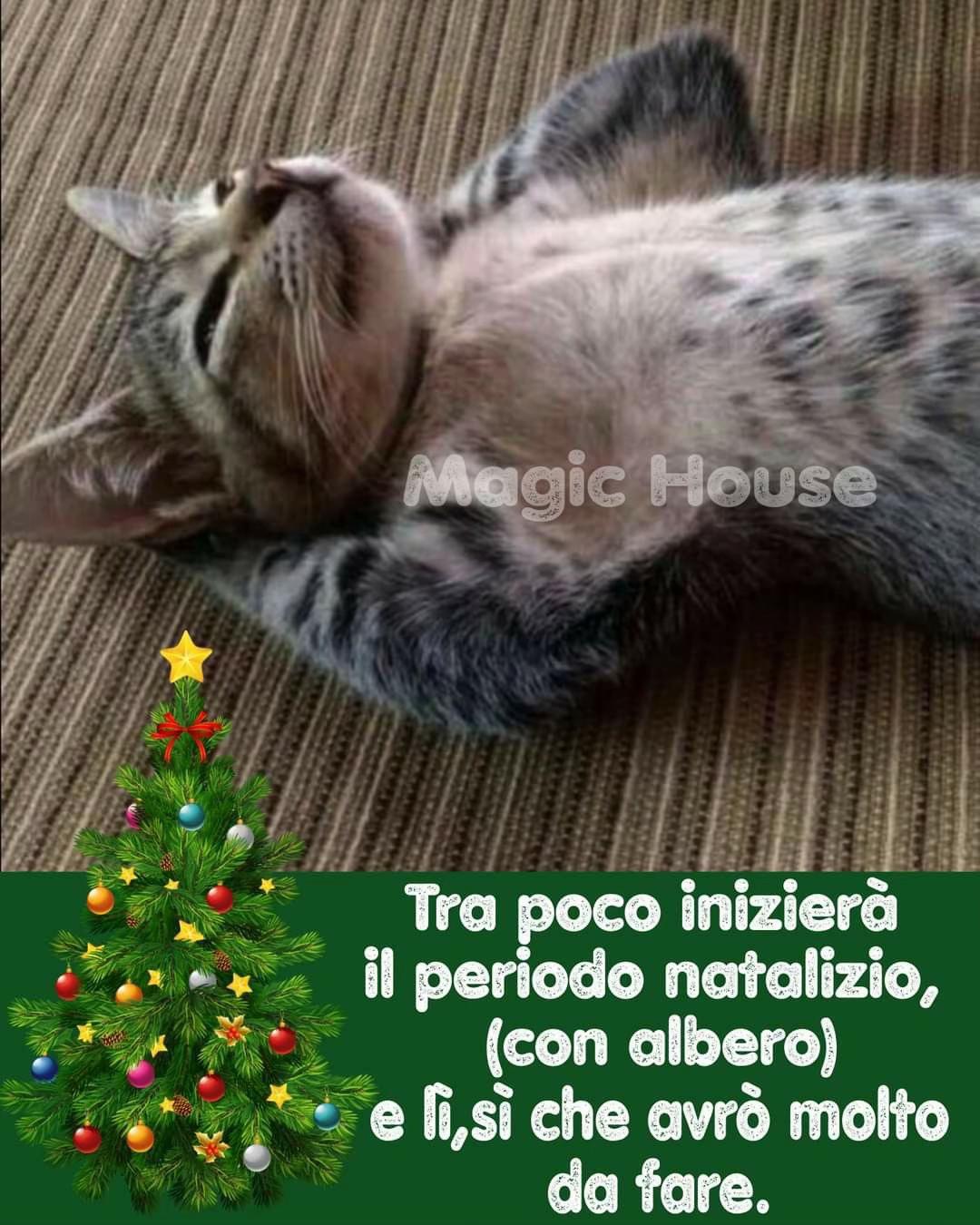 @Cristina