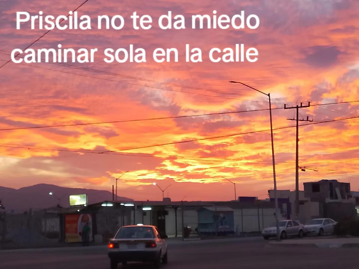 @priscilaabigail_350