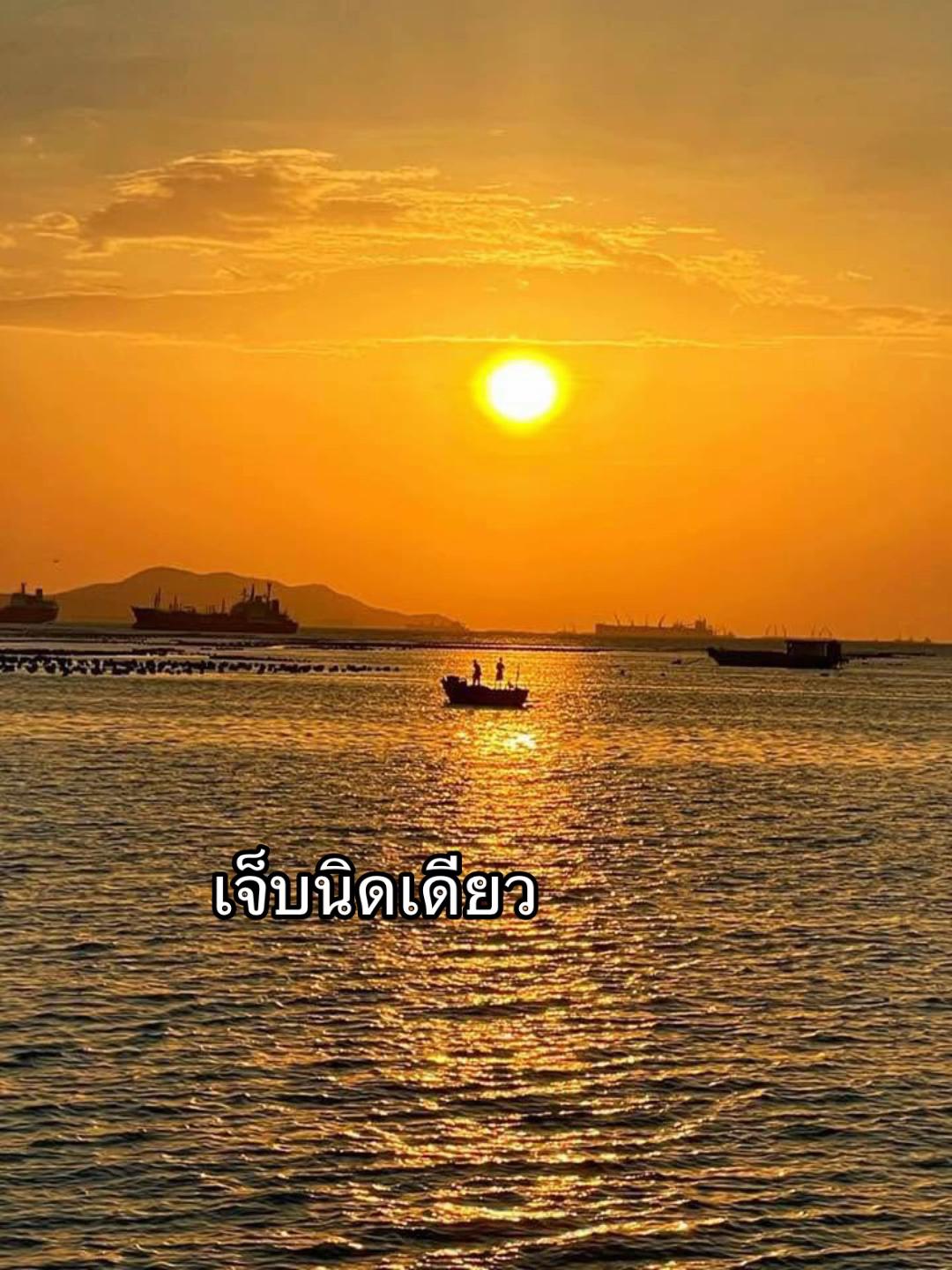 @Nid.2519💚