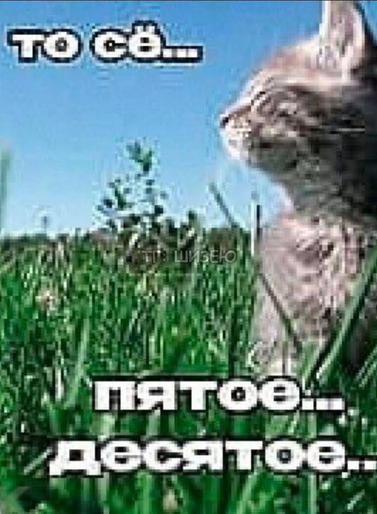 @gothbat67@