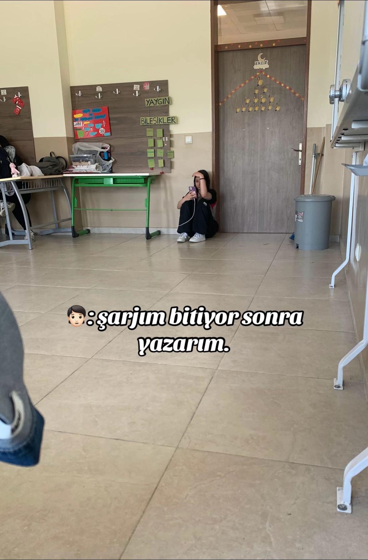 @lsinem06_
