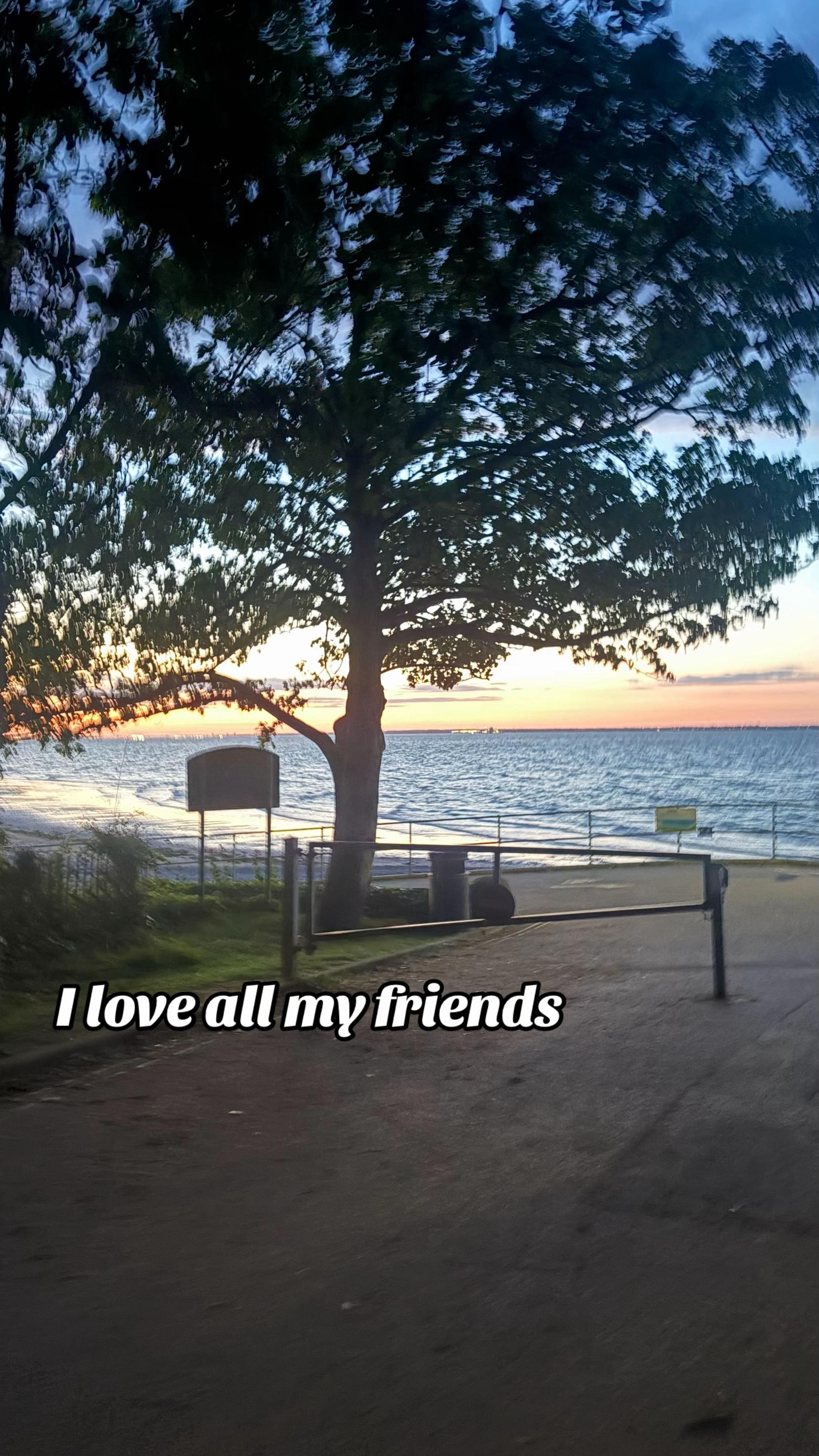 @Lily-Rae X