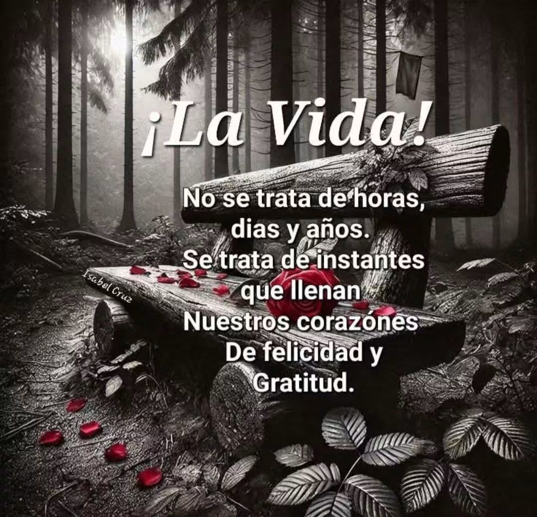 @Lucy Almaguer