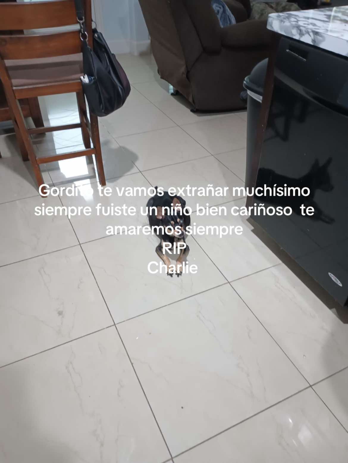 @Yj labrada