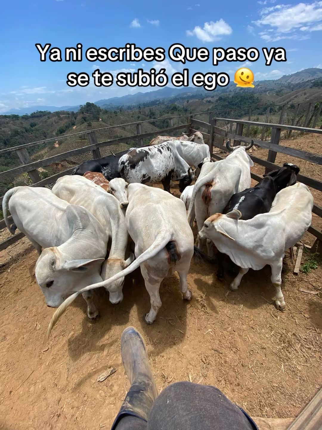 @Jean🤠