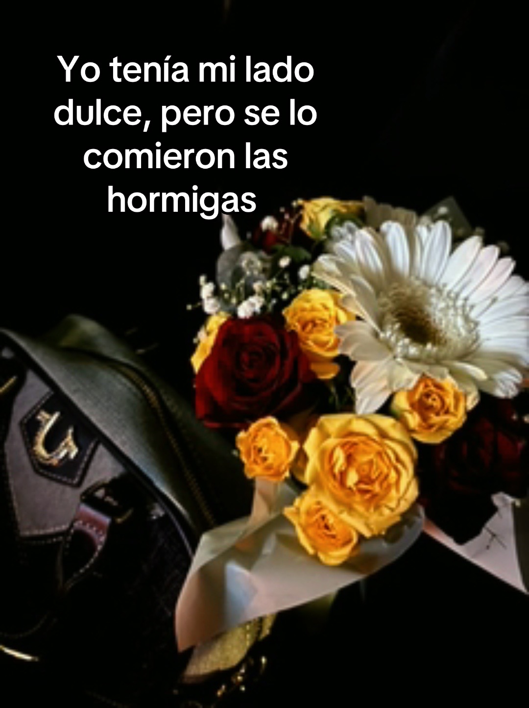 @Dayana Rdz 💋