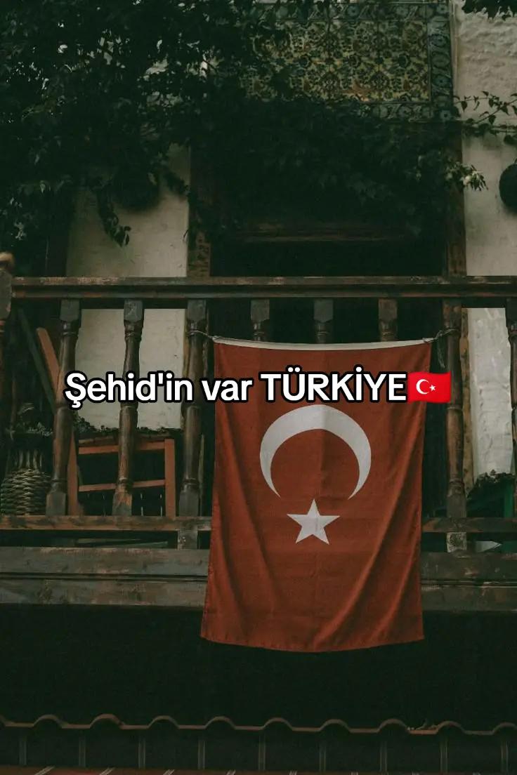@harp.akademi