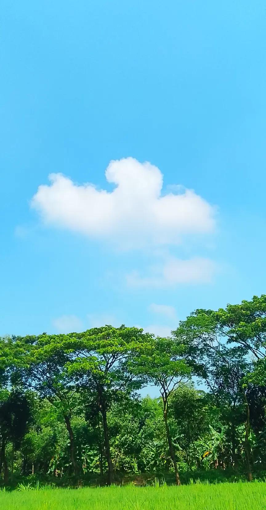 @ᏒᴅxܔᏰᎥᏕᏗᏝ࿐🌩️⚡