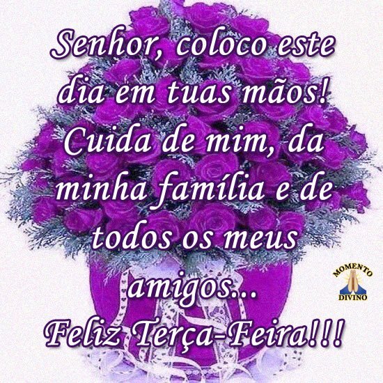 @Opoetabeijaflor