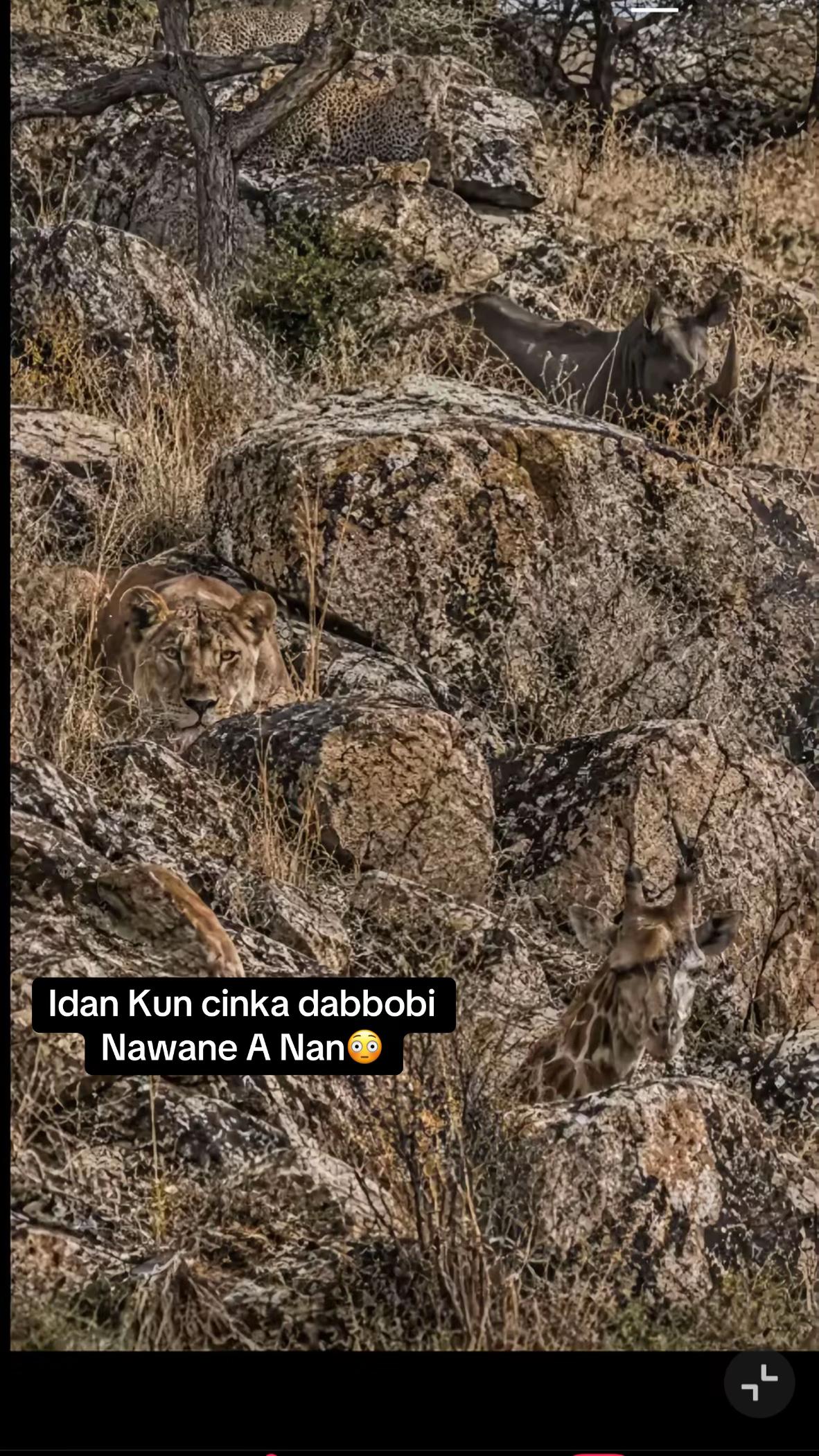 @REAL 💀MAI NASARA☠️🦅
