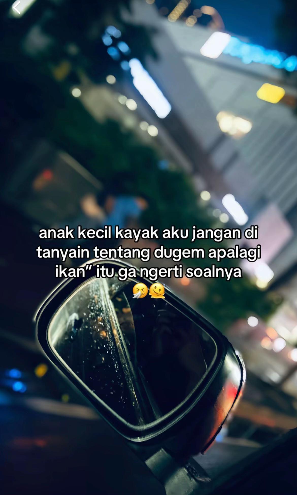 @LOCALAN +62